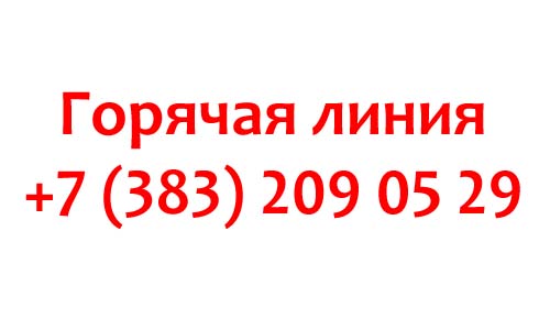 Электронный город горячая. Электронный город телефон Новосибирск техподдержка горячая.