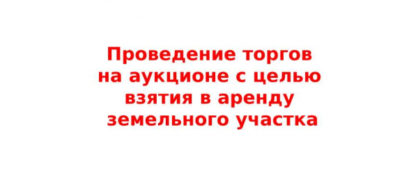 Предложения на аукционе с целью аренды земельного участка