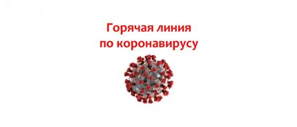 Горячая линия по коронавирусу в Ярославле