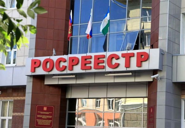 Телефон горячей линии Росреестра, как написать в поддержку