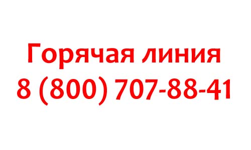 Горячая линия портала «Работа в России», как написать в службу поддержки?