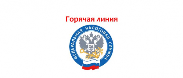 Горячая линия в ФНС, как написать обращение