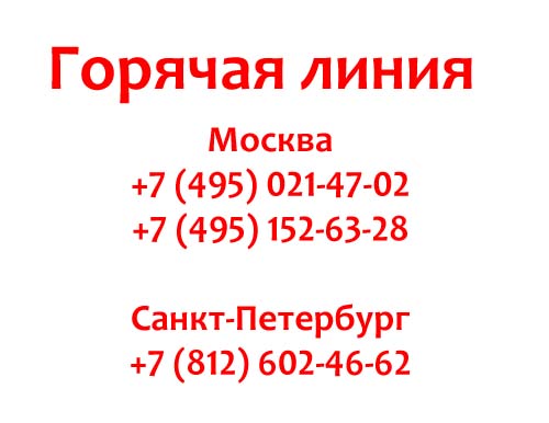 Горячая линия «Медси», как написать в службу поддержки?