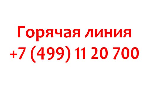 Порядок телефон. Горячая линия магазина порядок. Магазин твое горячая линия. Номер телефона горячей линии магазина. Порядок интернет магазин горячая линия.