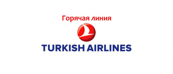 Горячая линия Турецких авиалиний в России, как написать в службу поддержки