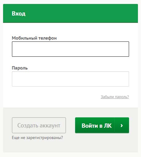 Горячая линия Platisa, как написать в службу поддержки?