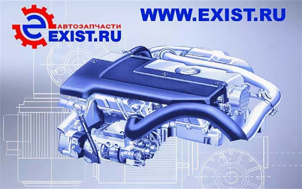 Горячая линия Exist, как написать в поддержку