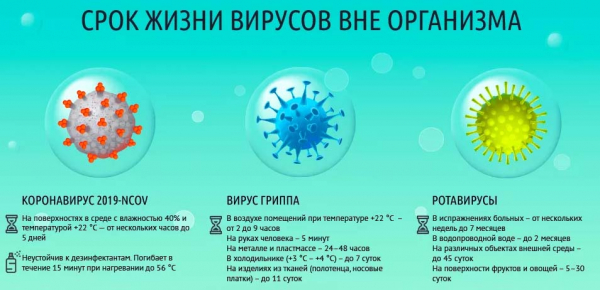 Горячая линия по коронавирусу в Кирове