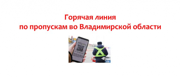 Горячая линия по загранпаспортам во Владимирской области, как получить загранпаспорт?